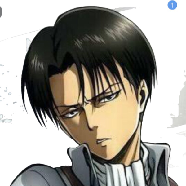 リヴァイのユーザーアイコン