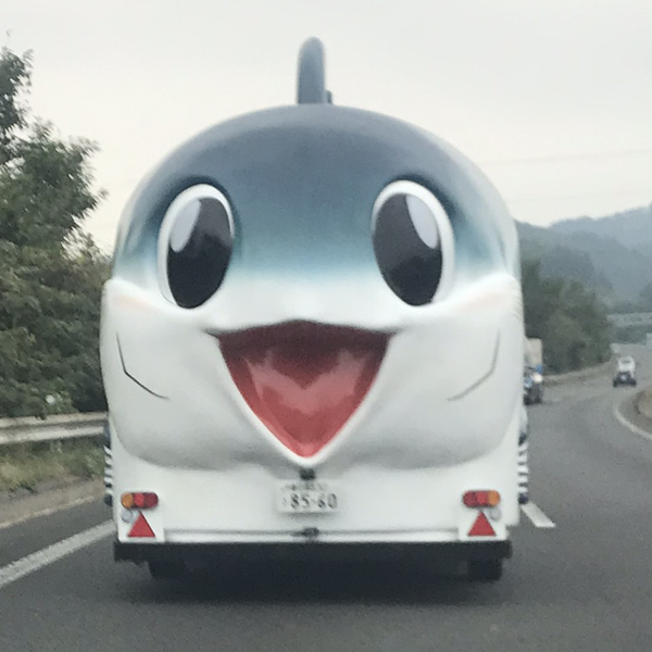 なおきのユーザーアイコン