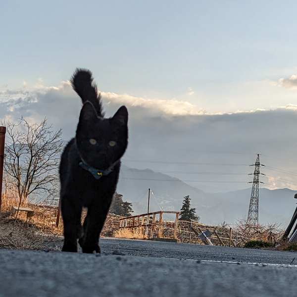夏 バス停 君を待つ N Buna By カ 音楽コラボアプリ Nana