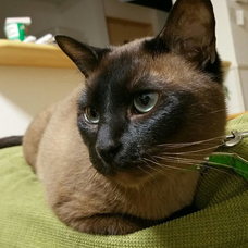 スイマーよ B Zの歌詞 音楽コラボアプリ Nana スイマーよ B Zの歌詞 音楽コラボアプリ Nana