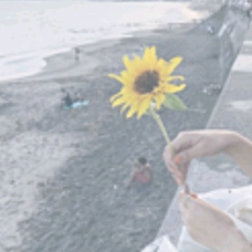 今夜 君の声が聞きたい 柴田 淳の歌詞 音楽コラボアプリ Nana