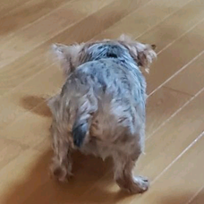 ワッショイ Bump Of Chickenの歌詞 音楽コラボアプリ Nana