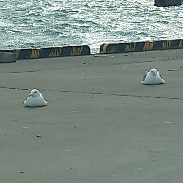 心臓を捧げよ Tv Size Linked Horizon By ヌオドン 音楽コラボアプリ Nana