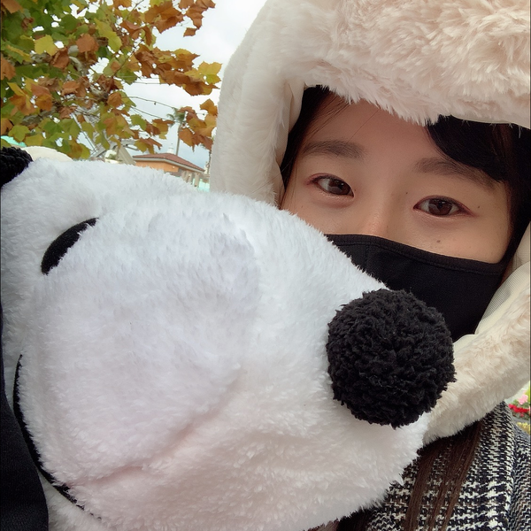 Mayu🐷のユーザーアイコン