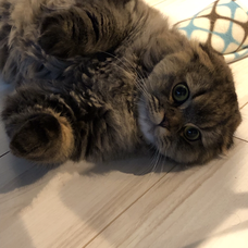 ラヴァーマン オリジナル ラブの歌詞 音楽コラボアプリ Nana