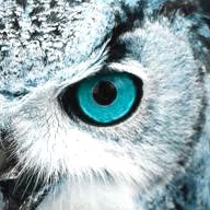 ちび🦉✨のユーザーアイコン