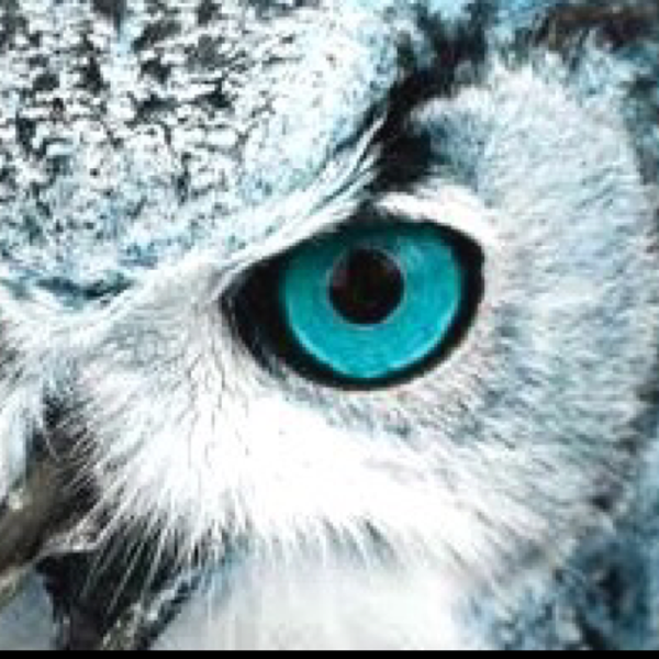 ちび🦉✨のユーザーアイコン