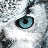 ちび🦉✨のユーザーアイコン