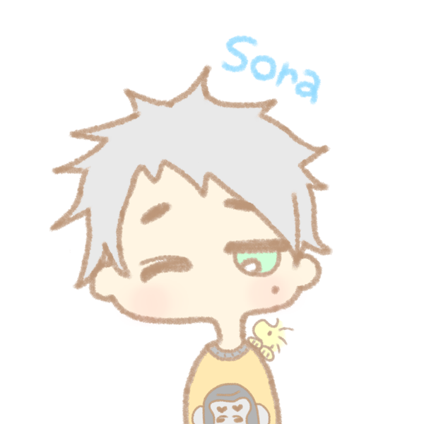 sora🦍ྀིのユーザーアイコン