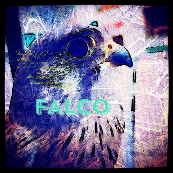 🦅FALCOのユーザーアイコン