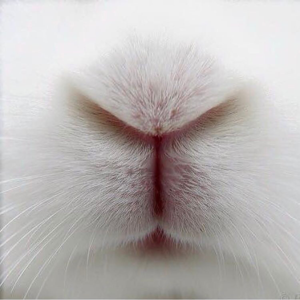 mのユーザーアイコン