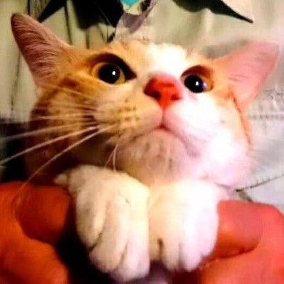 千華のユーザーアイコン