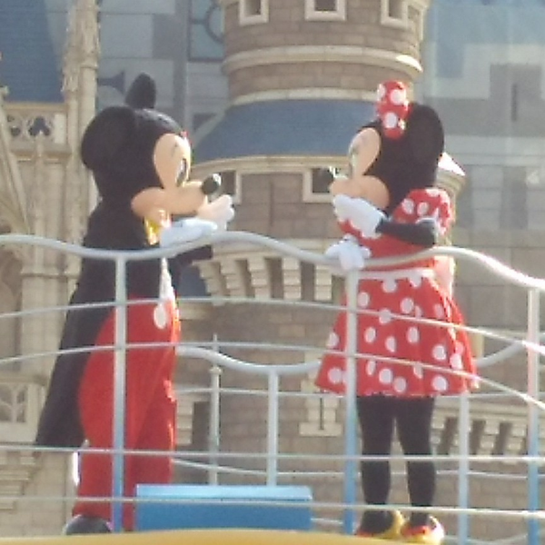 Ayaのユーザーアイコン