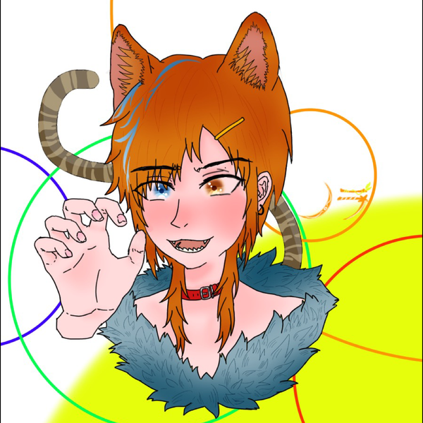ノラ🐾連続投稿多め❗️のユーザーアイコン