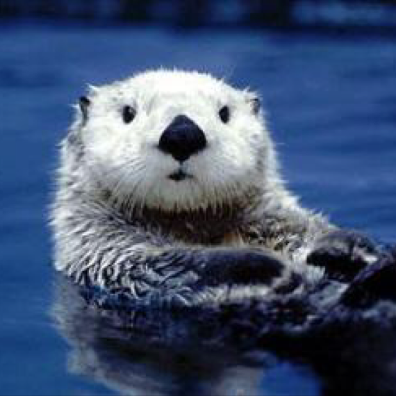 神のカルマ Syrup16g By ラッコ先輩 音楽コラボアプリ Nana