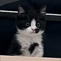 忘れてください