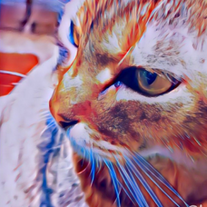 印刷可能 本能寺の変 ダンス 歌詞 本能寺の変 ダンス 歌詞