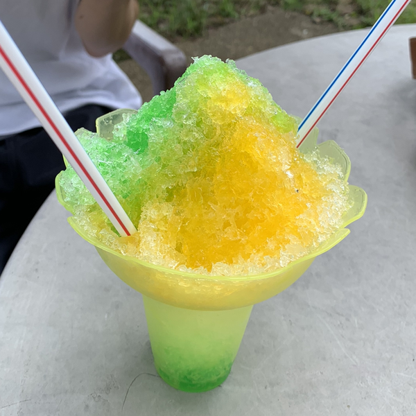 禄田さつのユーザーアイコン