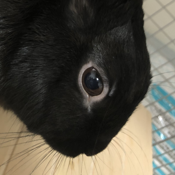 家 光子のユーザーアイコン