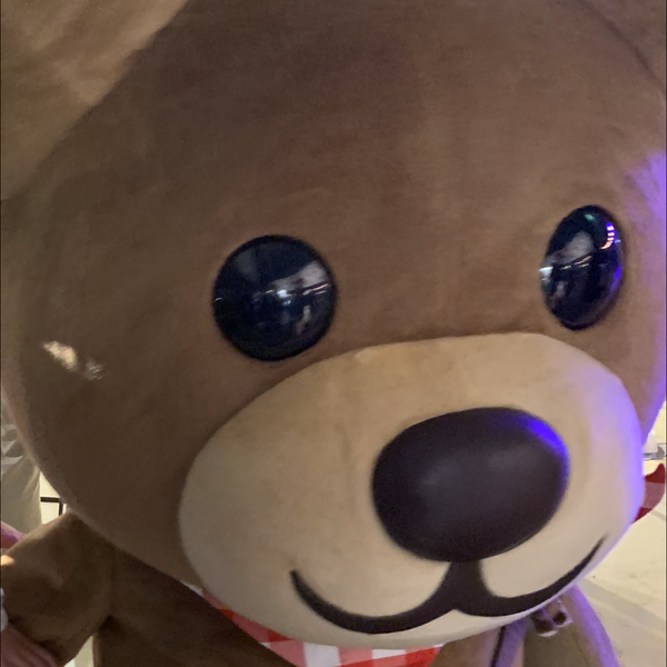 もこたん治郎のユーザーアイコン