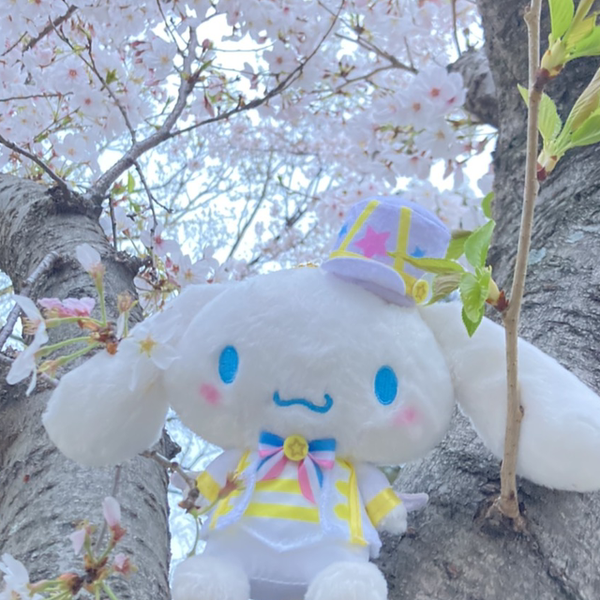 Tomoyuki@あるカピ丸のユーザーアイコン