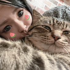 Sunshine K 歌ってみた 弾いてみた 21ページ目 音楽コラボアプリ Nana