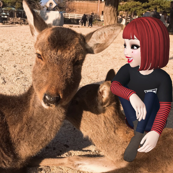 にゃちょこ𓃠☆*:のユーザーアイコン