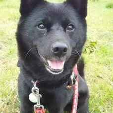 贈る言葉 Flowの歌詞 音楽コラボアプリ Nana