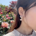 青と夏