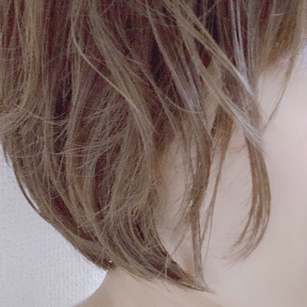 Saki🦔のユーザーアイコン