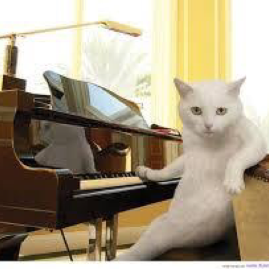 pianocafe Kumiのユーザーアイコン
