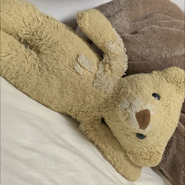 イデアの少年 Doluce カラオケ ピアノ ギター伴奏 音楽コラボアプリnana