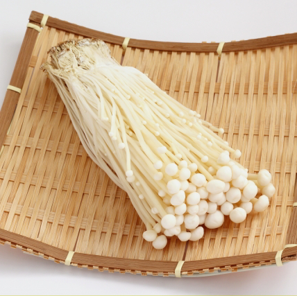 あみお🍄怪物🎤のユーザーアイコン