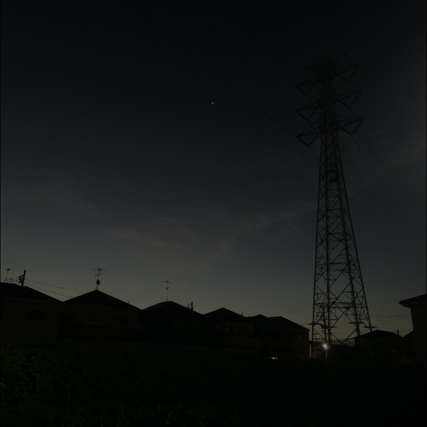 だいだいのユーザーアイコン