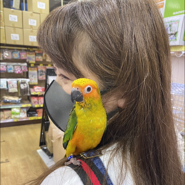 美樹のユーザーアイコン
