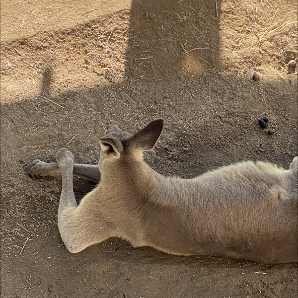 Tiny Tiny Dtm伴奏 村川梨衣 By 亜貴恵 音楽コラボアプリ Nana