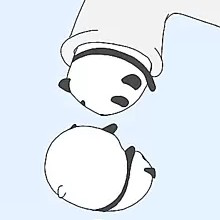 砂漠に赤い花 斉藤和義の歌詞 音楽コラボアプリ Nana