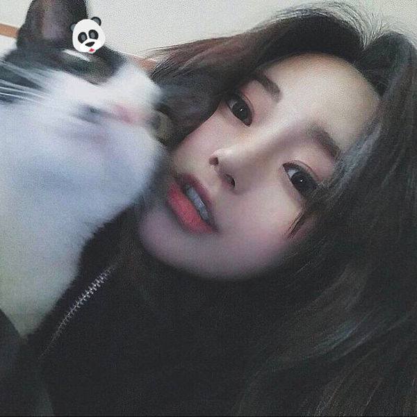 ほにょ。@Pretender's user icon