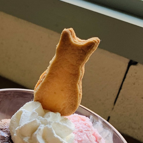 おんちっちのユーザーアイコン