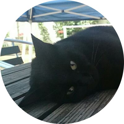 愛兎のユーザーアイコン