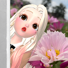 ずっとあなたが好きでした 坂本冬美の歌詞 音楽コラボアプリ Nana