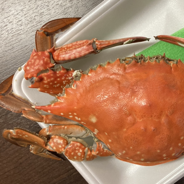 蟹蟹クラブのユーザーアイコン