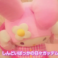 舞い落ちる花びら