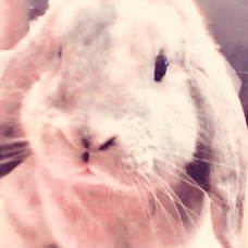 幸せ願う彼方から クラムボン 歌ってみた 弾いてみた 音楽コラボアプリ Nana