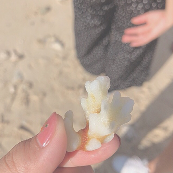 ゆちきのユーザーアイコン