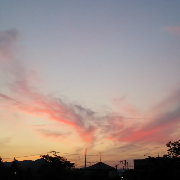 紅崎琳夜's user icon