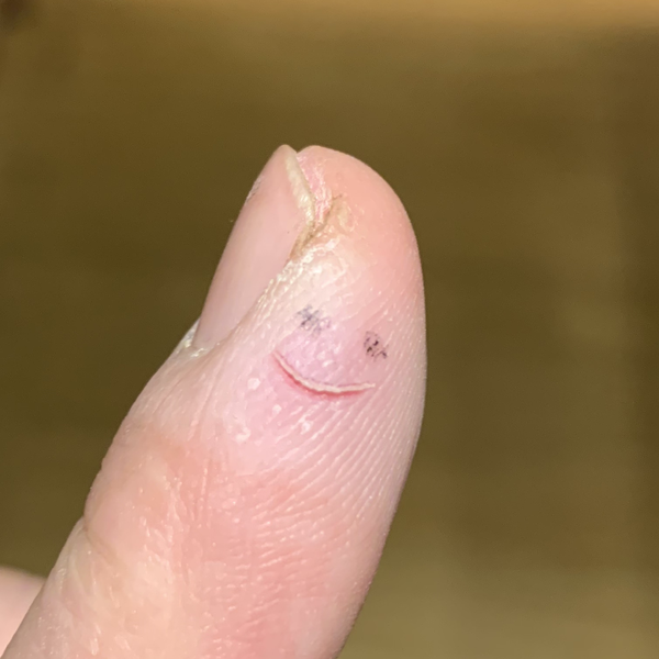 なまのユーザーアイコン
