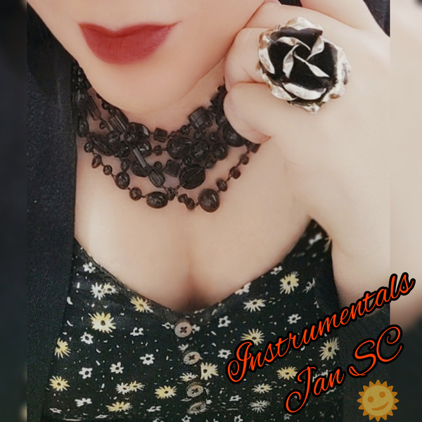 🌻☆Instrumentals Jan SC✰🌻ツ's user icon