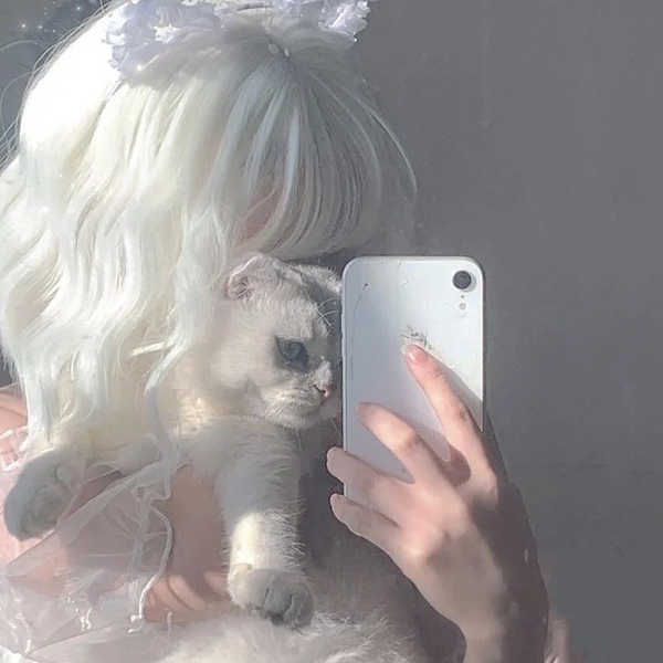 ☪︎ 𝑆𝐴𝑌𝐴𝐾𝐴 ໒꒱· ゚のユーザーアイコン