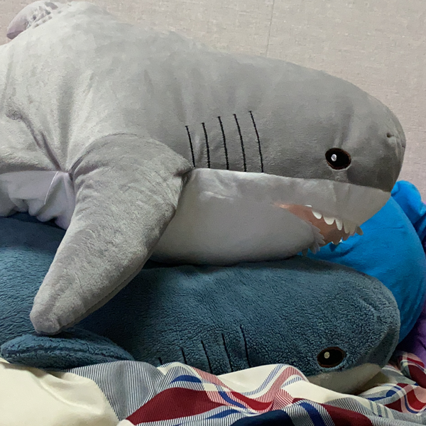 ぶらんとどす加藤🦈~🌱推🦍し💓~のユーザーアイコン
